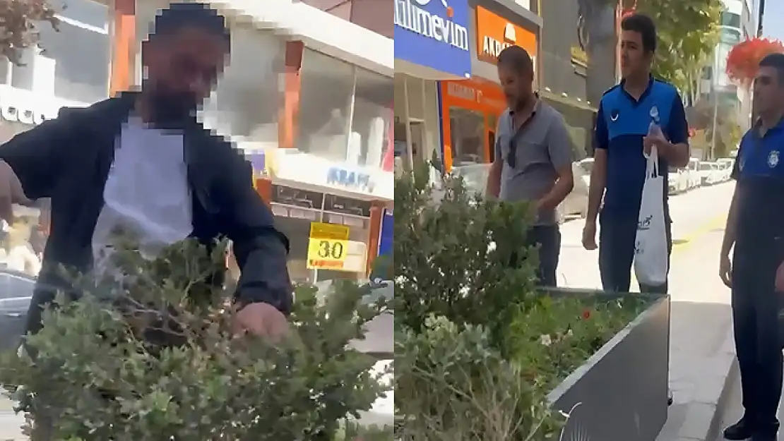 Van'da refüjdeki çiçek ve fidanlara zarar veren şahıs suçüstü yakalandı