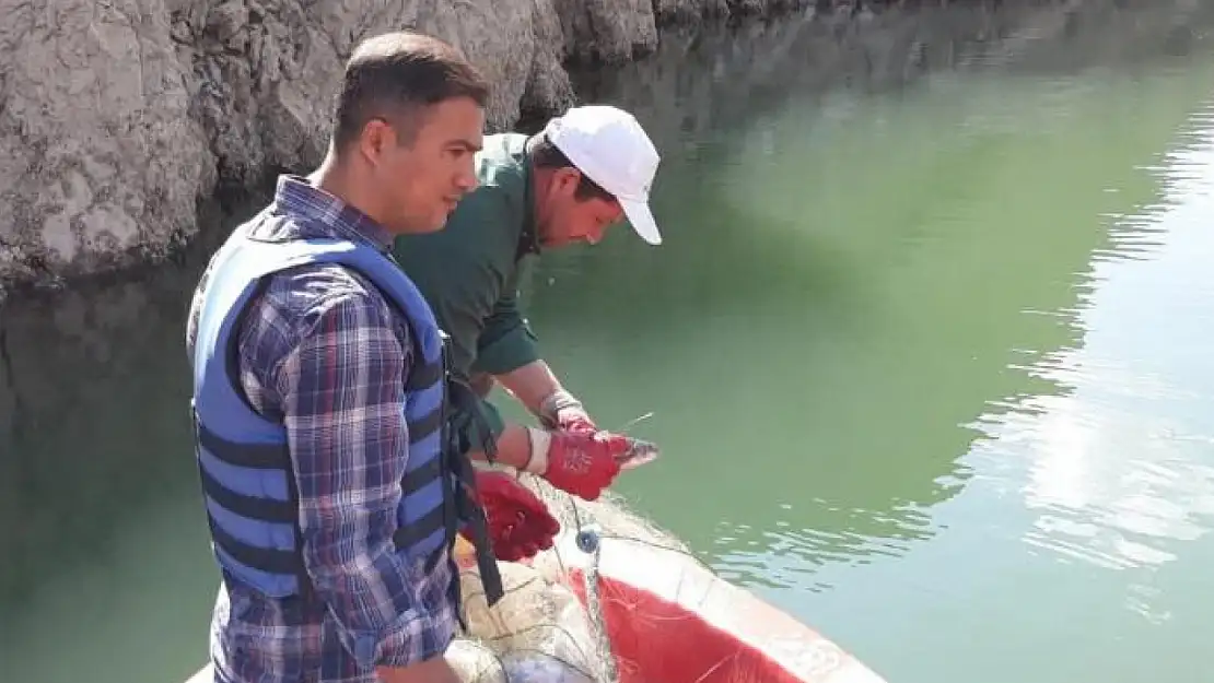 Van'da sazangiller av yasağı sona erdi