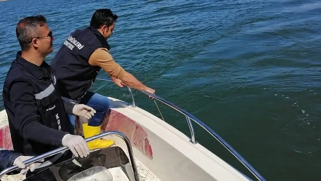 Van'da sazangiller için av yasağı başladı
