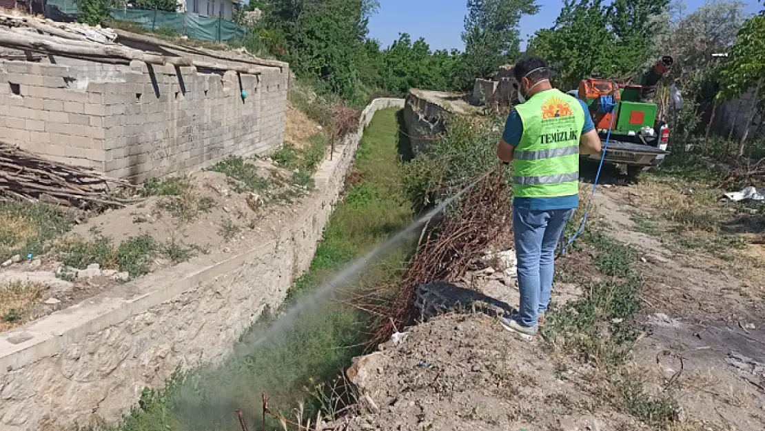 Van'da sulak alanlarda larvasit çalışması