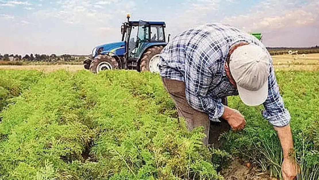 Van'da tarımsal destekleme başvuruları başladı