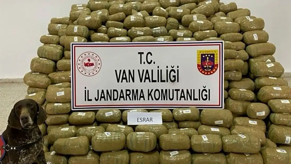 Van'da tonlarca uyuşturucu ele geçirildi