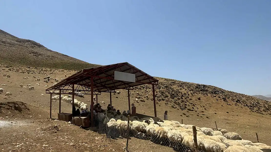 Van'da yaylada çalışan kadınlara gölgelik desteği