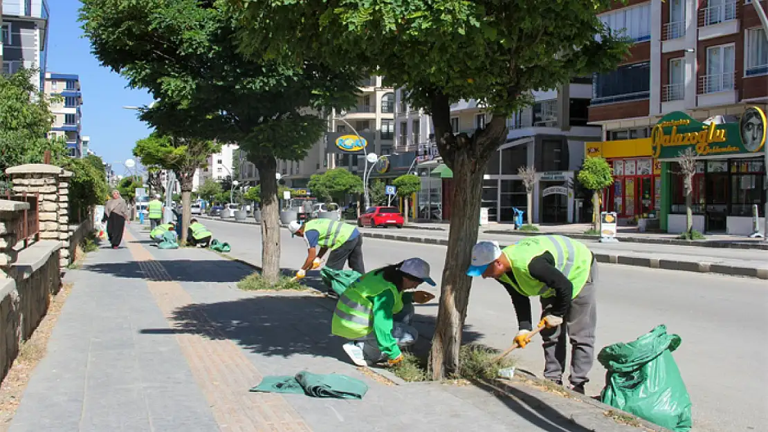 Van'da yeşil alanlarda yoğun mesai başladı
