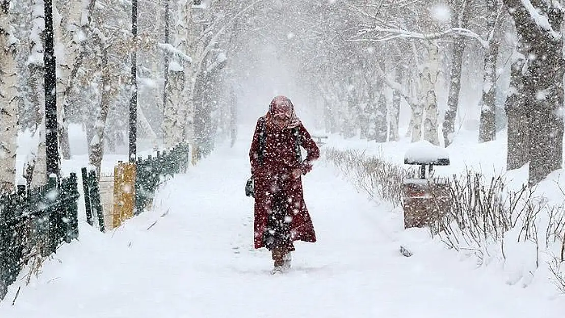 Van'da yoğun kar yağışı bekleniyor