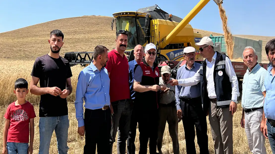 Van'da yüzde 75 hibeli sertifikalı hububat tohumlarının hasadı gerçekleştirildi