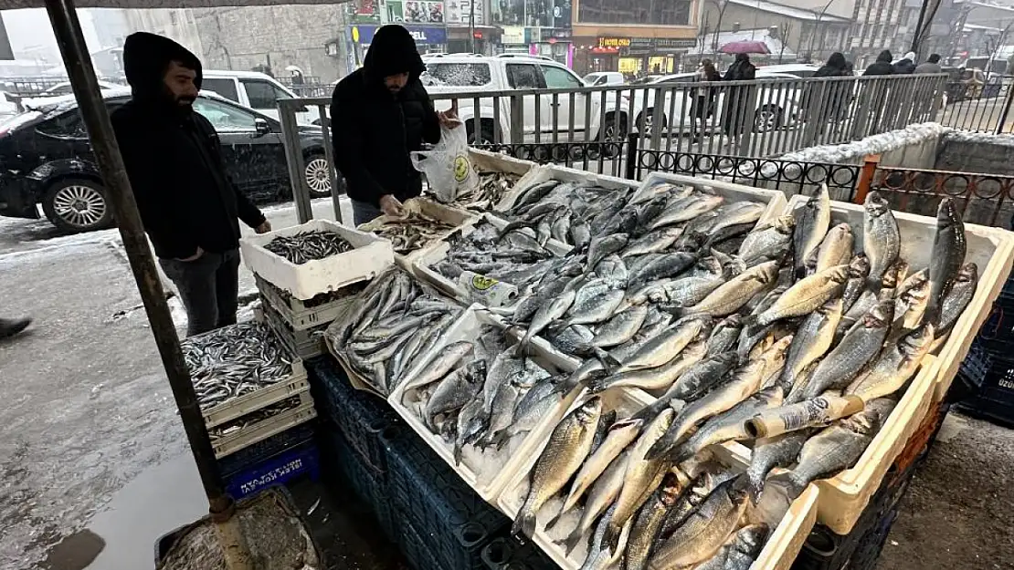 Van'dan getirilen balıklara Yüksekova'da yoğun ilgi