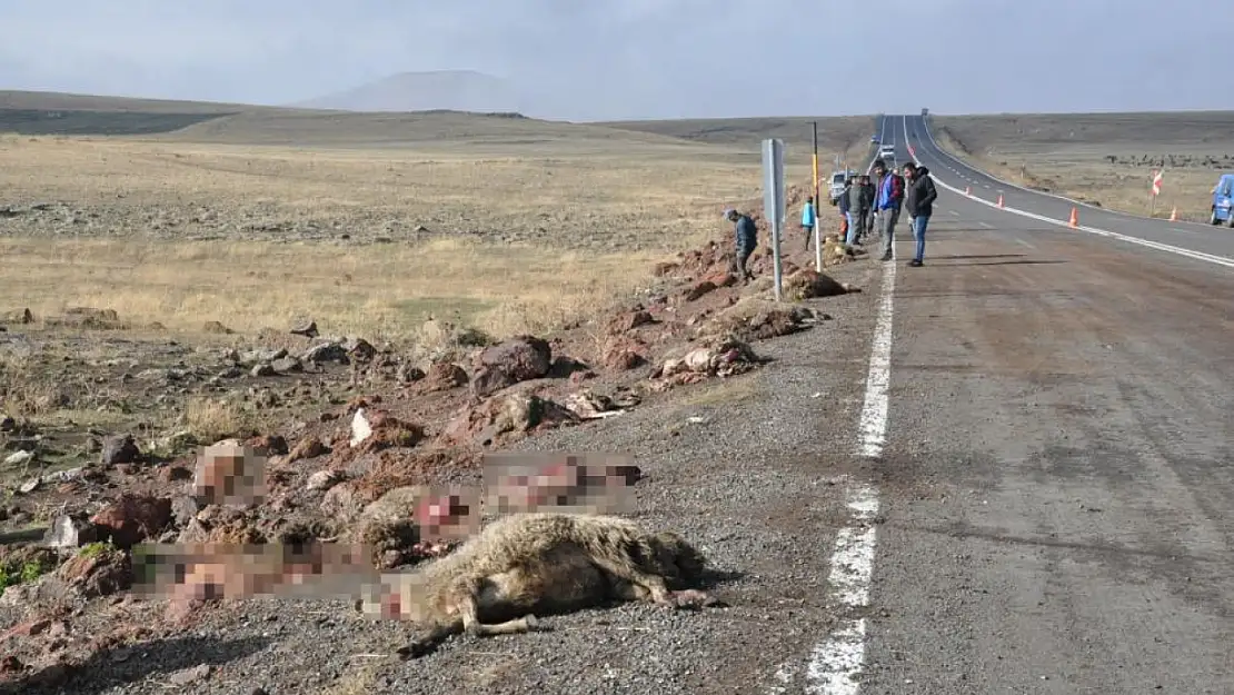 Van'dan Kars'a giden tur midibüsü kaza yaptı