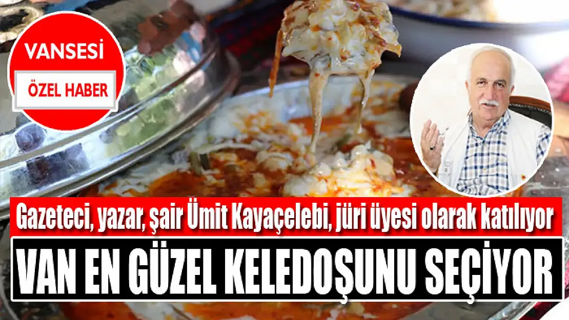 Van en güzel keledoşunu seçiyor