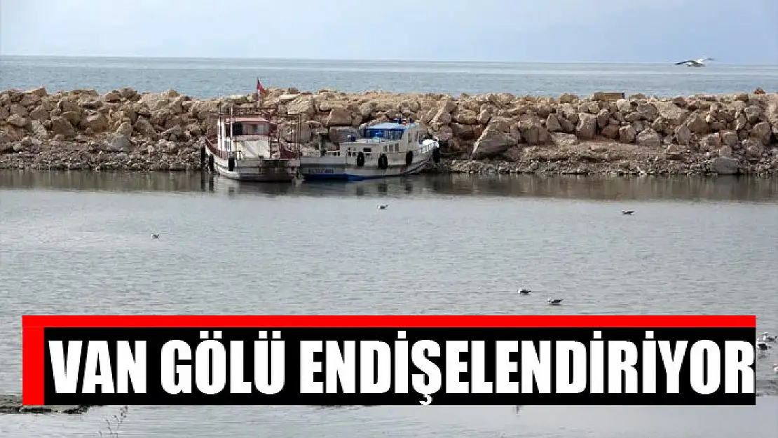 Van Gölü endişelendiriyor