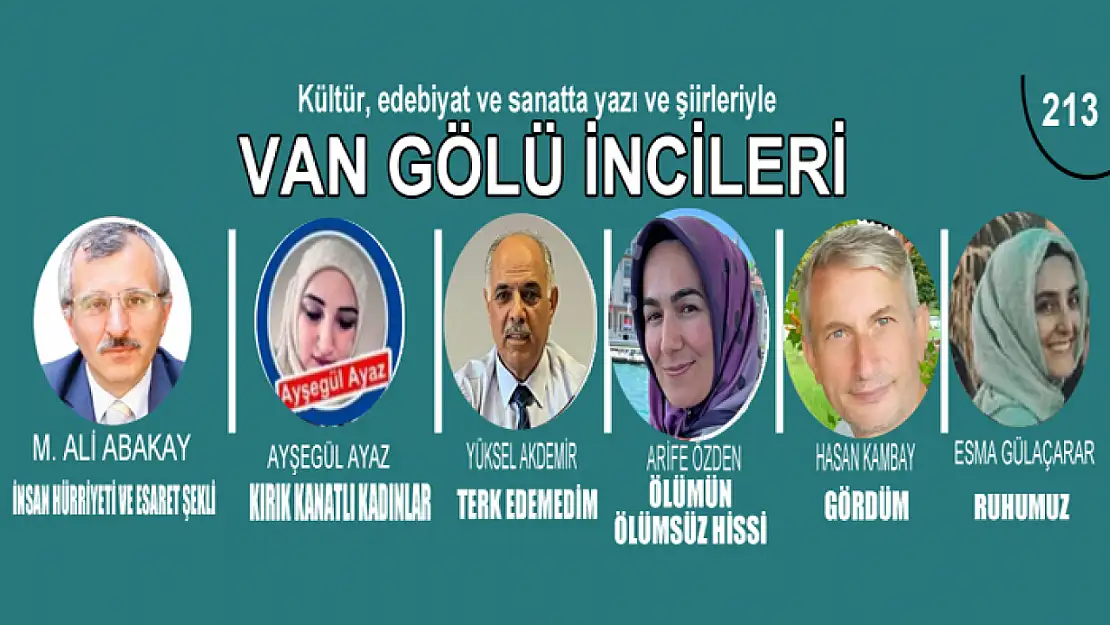 Van Gölü İncileri