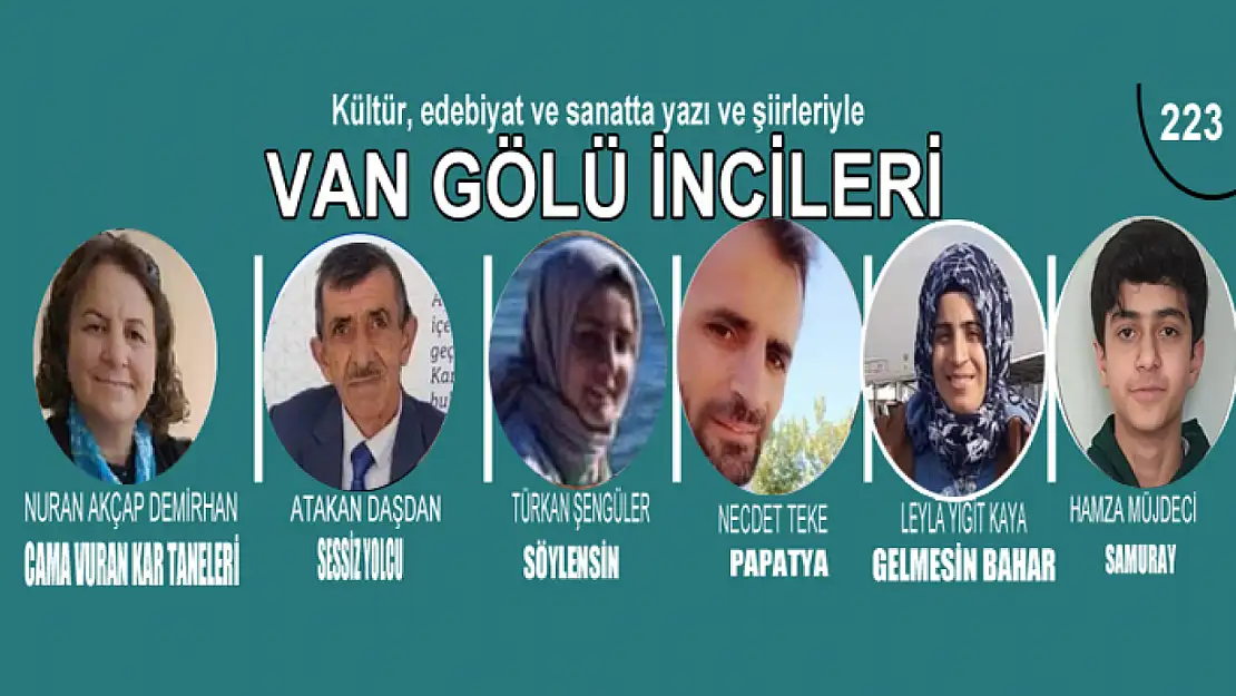 Van Gölü İncileri