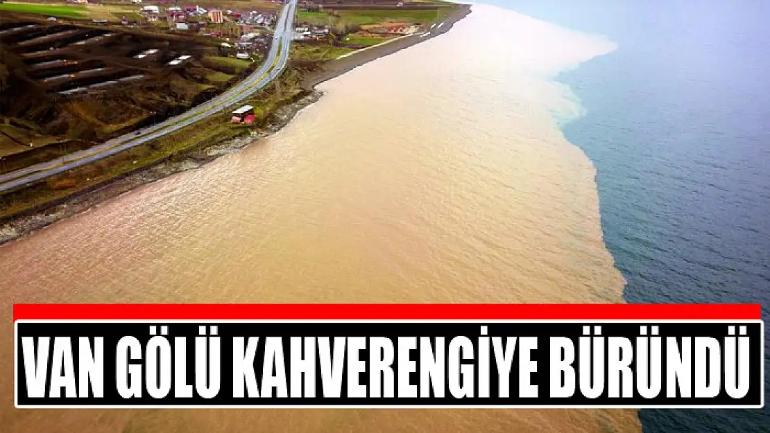 Van Gölü kahverengiye büründü