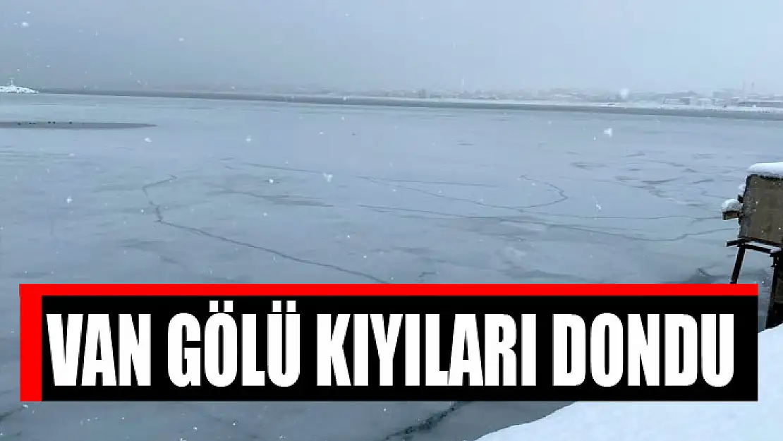 Van Gölü kıyıları dondu