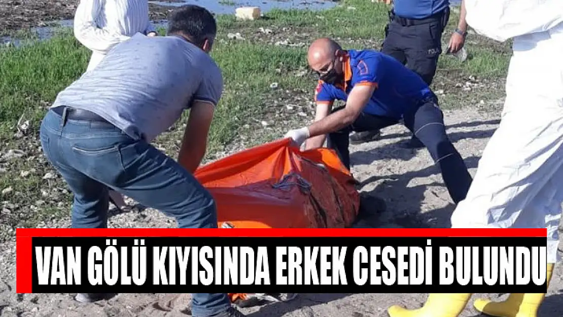 Van Gölü kıyısında erkek cesedi bulundu