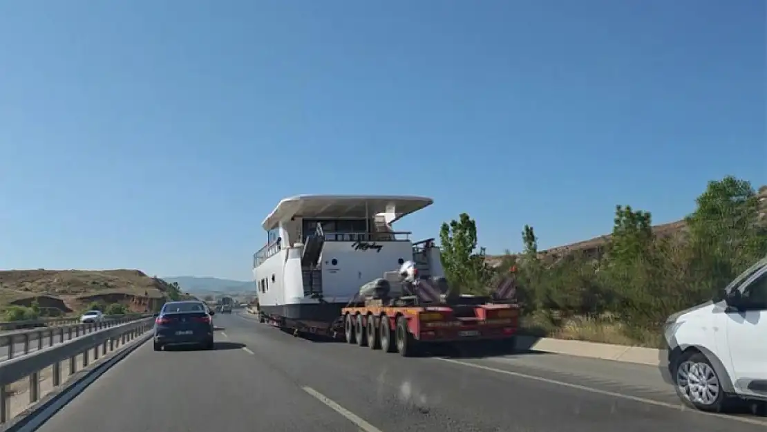 Van Gölü'nden alınıp Aydın'a götürüldü