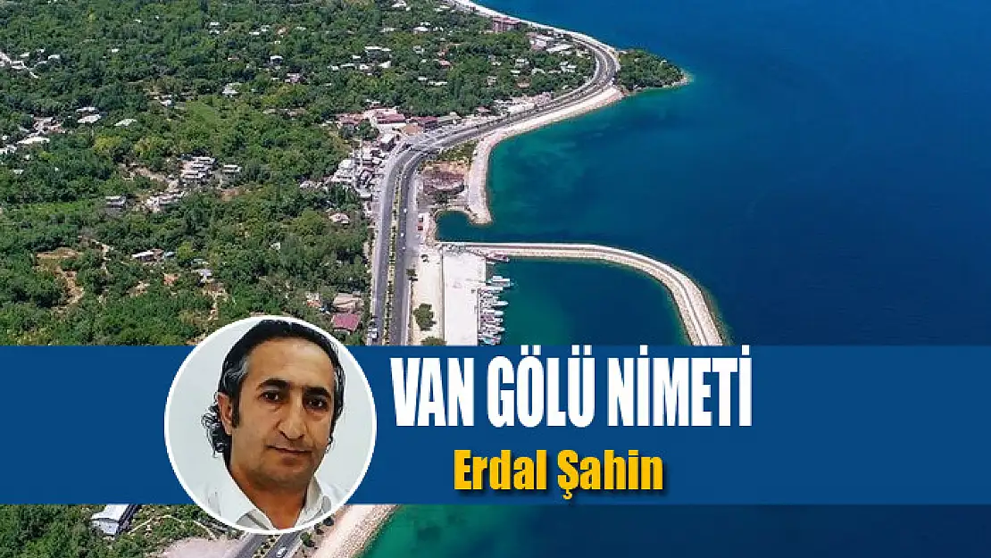 Van Gölü nimeti