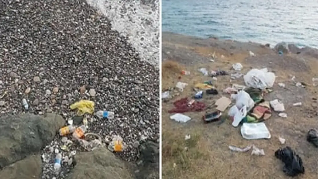 Van Gölü'nün mavi bayraklı plajında kirlilik alarmı