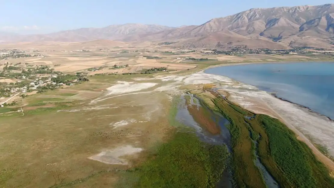 Van Gölü'nün sulak alanları yok oluyor