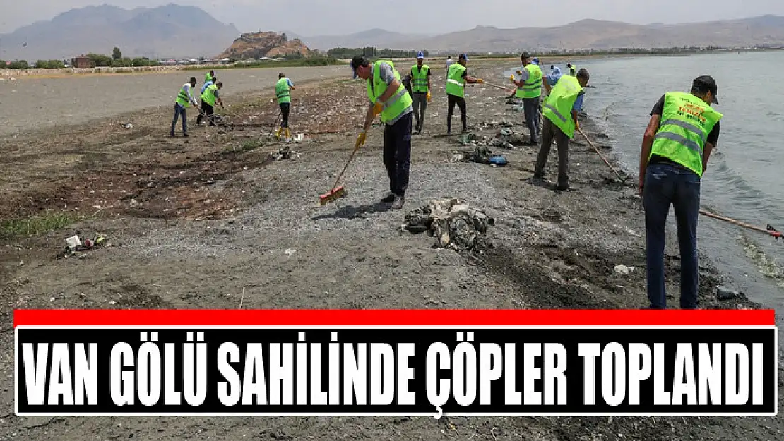 Van Gölü sahilinde çöpler toplandı