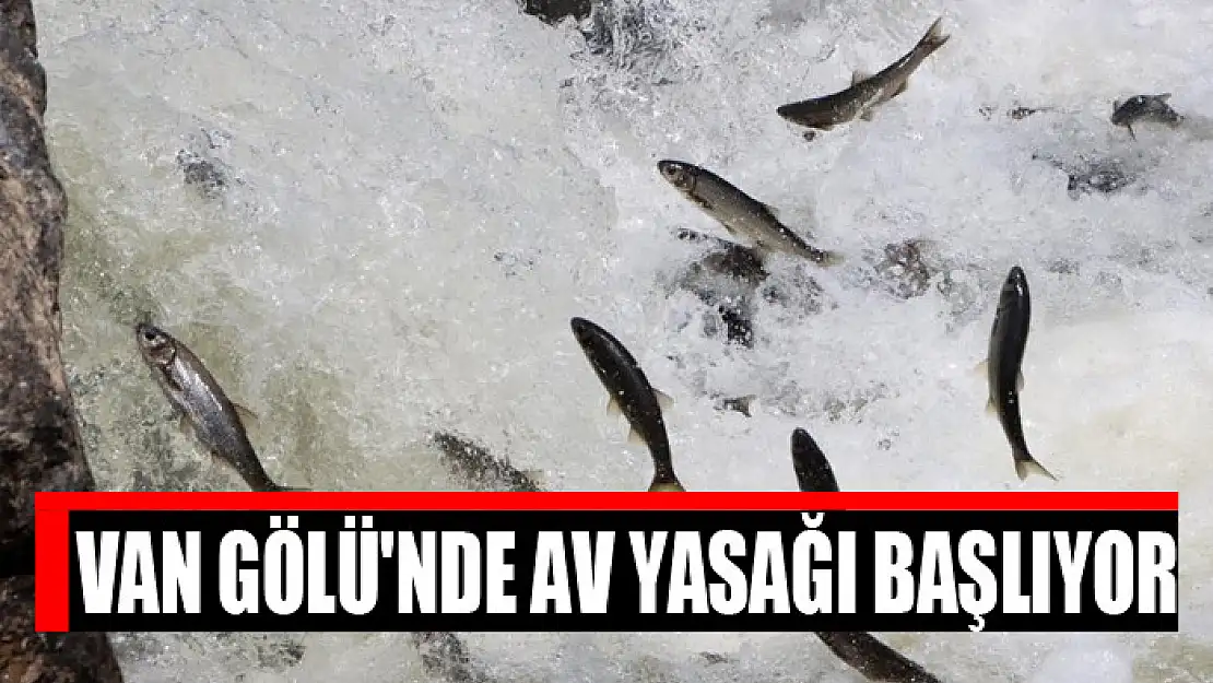 Van Gölü'nde av yasağı başlıyor