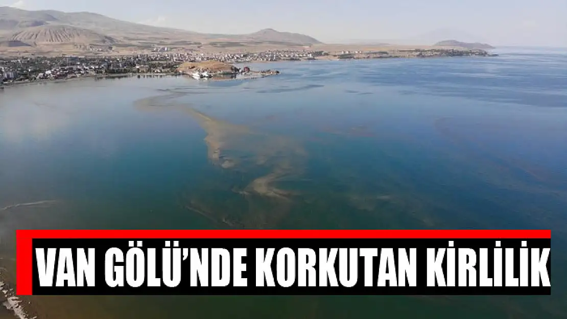 Van Gölü'nde korkutan kirlilik