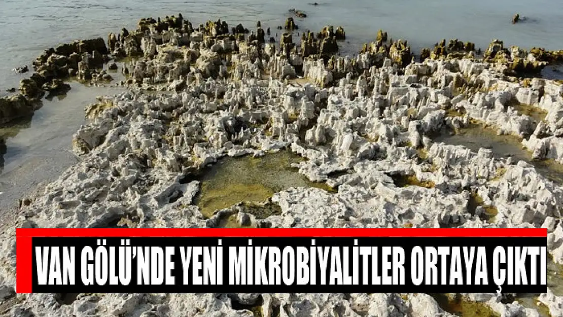 Van Gölü'nde yeni mikrobiyalitler ortaya çıktı