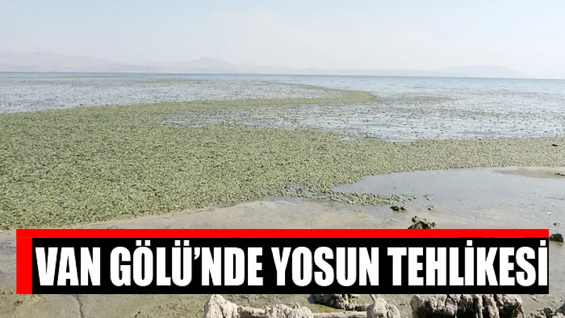 VAN GÖLÜ'NDE YOSUN TEHLİKESİ