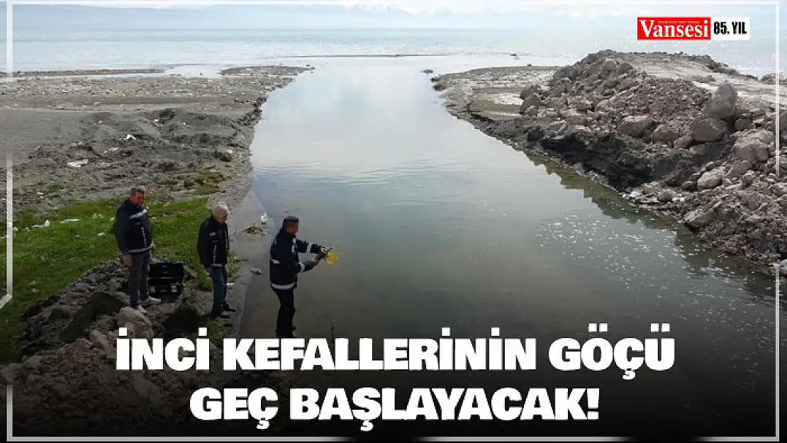 Van Gölü'ndeki inci kefallerinin göçü geç başlayacak