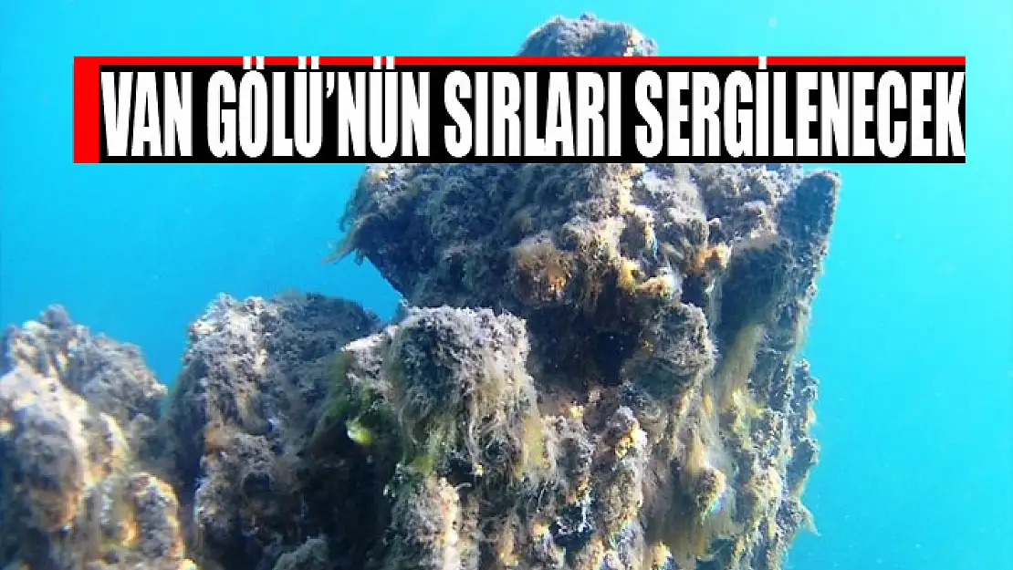 Van Gölü'nün sırları sergilenecek