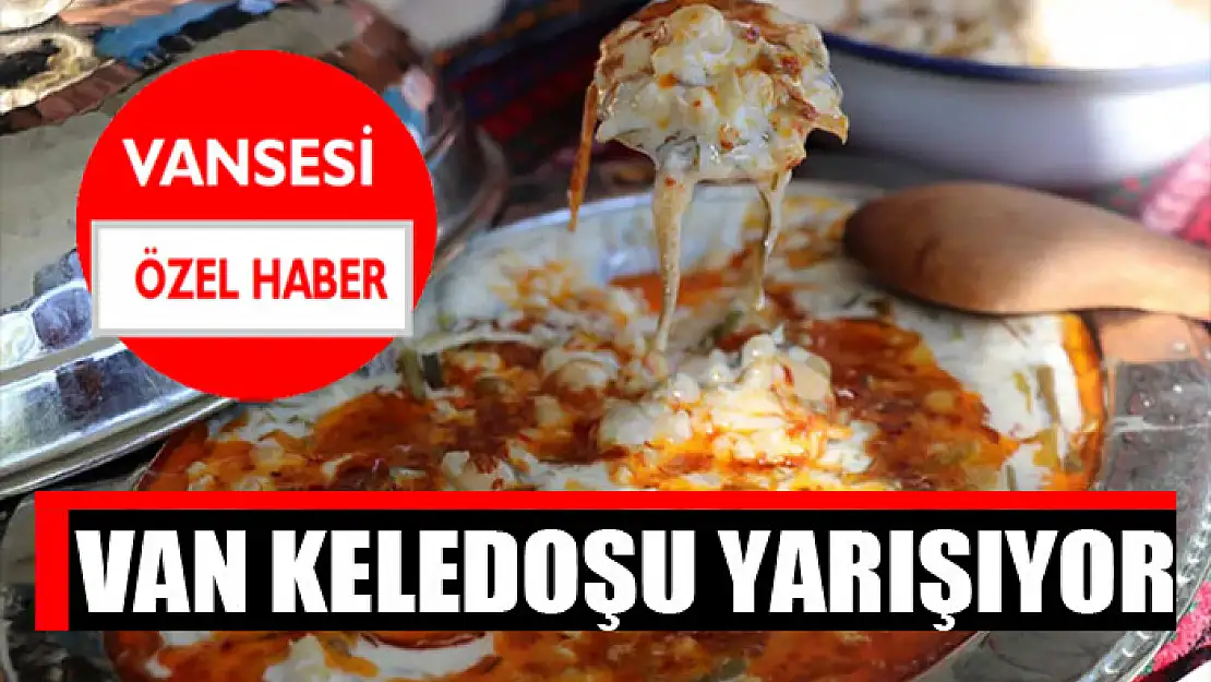 Van Keledoşu yarışıyor