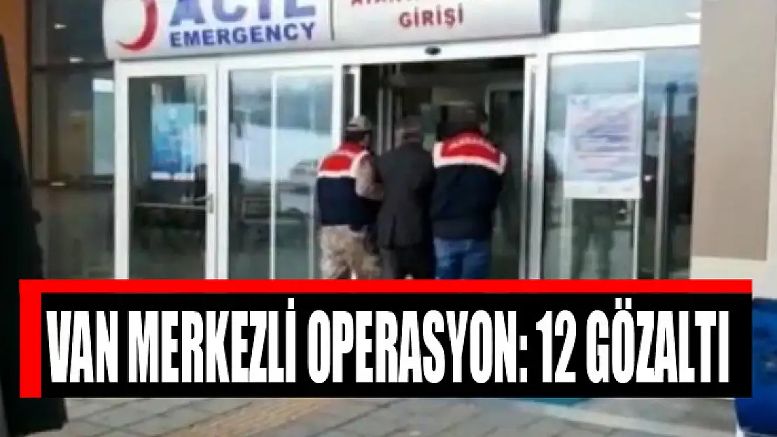 Van merkezli operasyon: 12 gözaltı