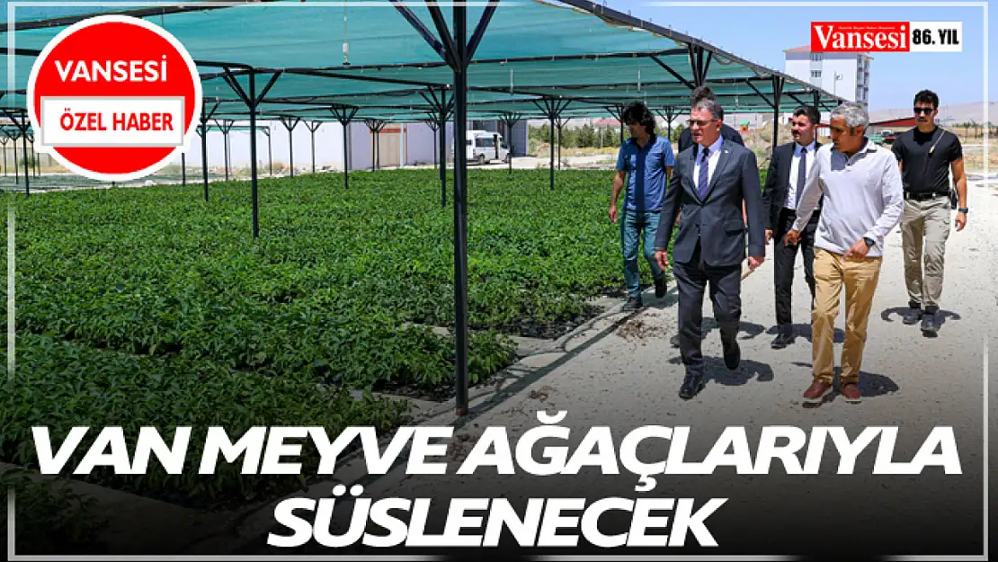 Van Meyve Ağaçlarıyla Süslenecek