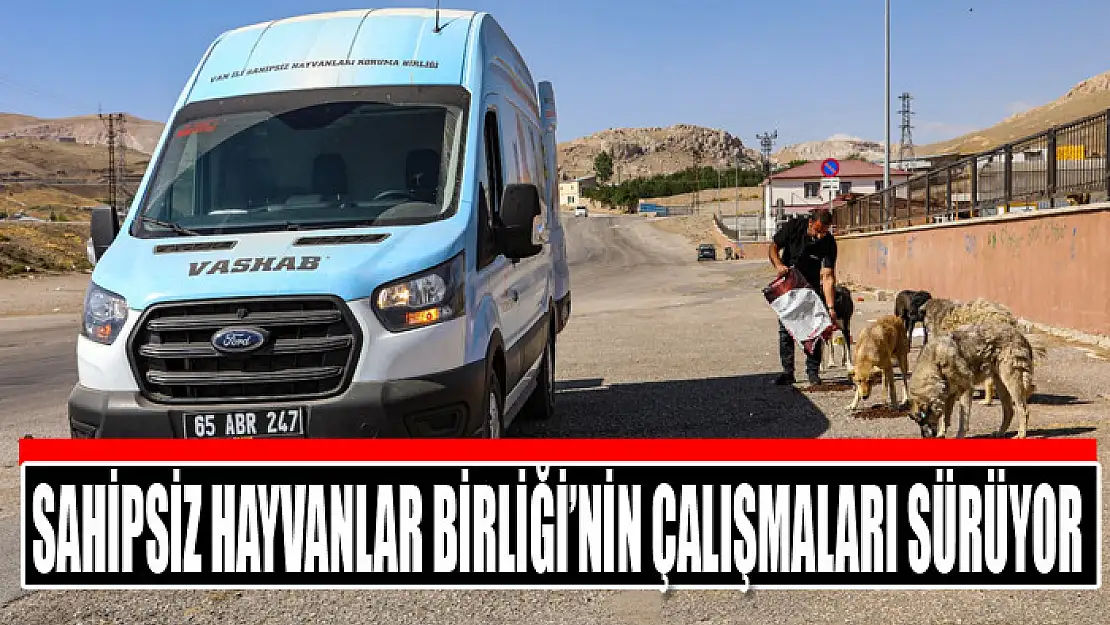 Van Sahipsiz Hayvanlar Birliği'nin çalışmaları sürüyor