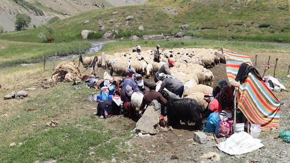 Van Tarım ve Orman İl Müdürlüğü'nden Gürpınar'da denetim