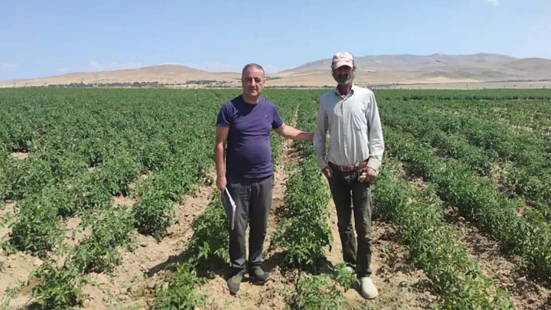 Van Tarım ve Orman İl Müdürlüğü'nden sebze üretimi denetimleri