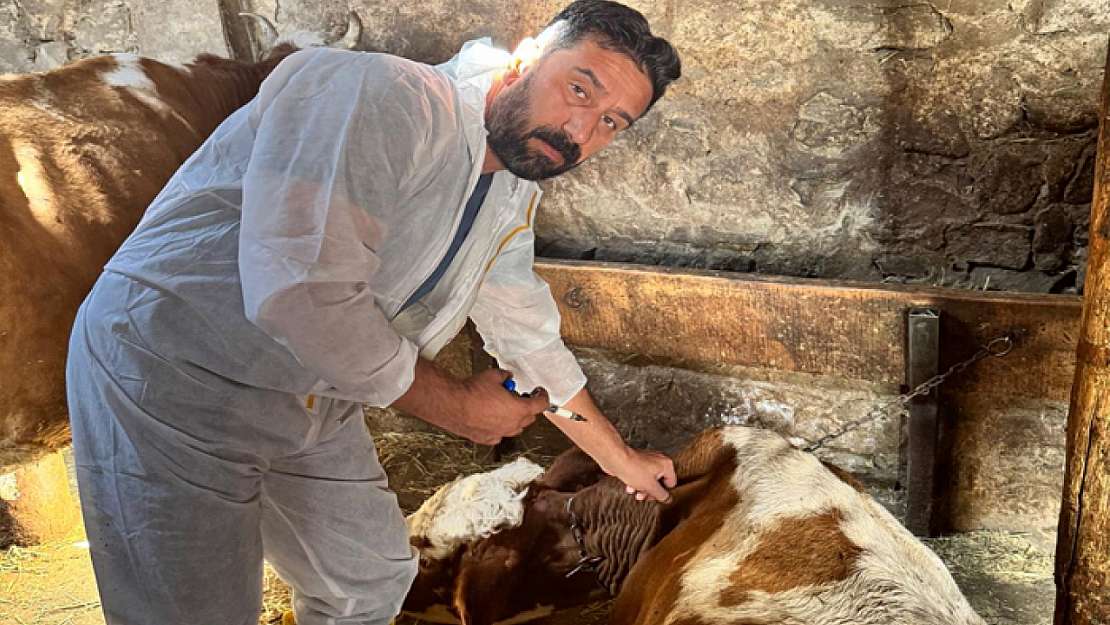Van Tarım ve Orman İl Müdürlüğü'nden aşılama programına destek