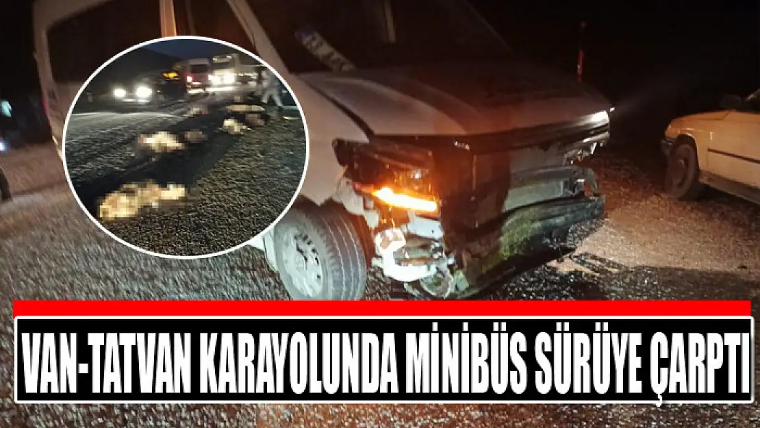 Van-Tatvan karayolunda minibüs sürüye çarptı