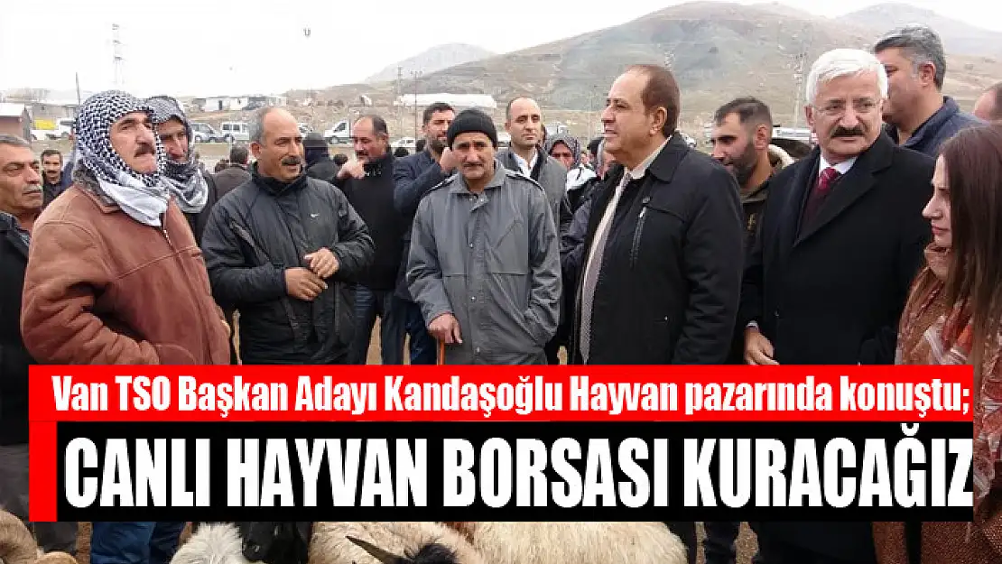 Van TSO Başkan Adayı Kandaşoğlu Hayvan pazarında konuştu Canlı hayvan borsası kuracağız