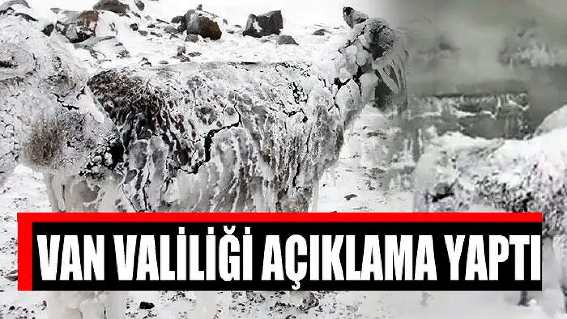 VAN VALİLİĞİ'NDEN DONMUŞ EŞEK AÇIKLAMASI