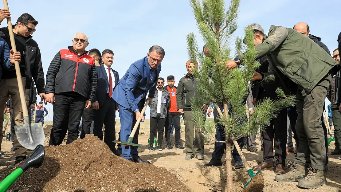 Van Valisi Ağaç Dikimi Yaptı