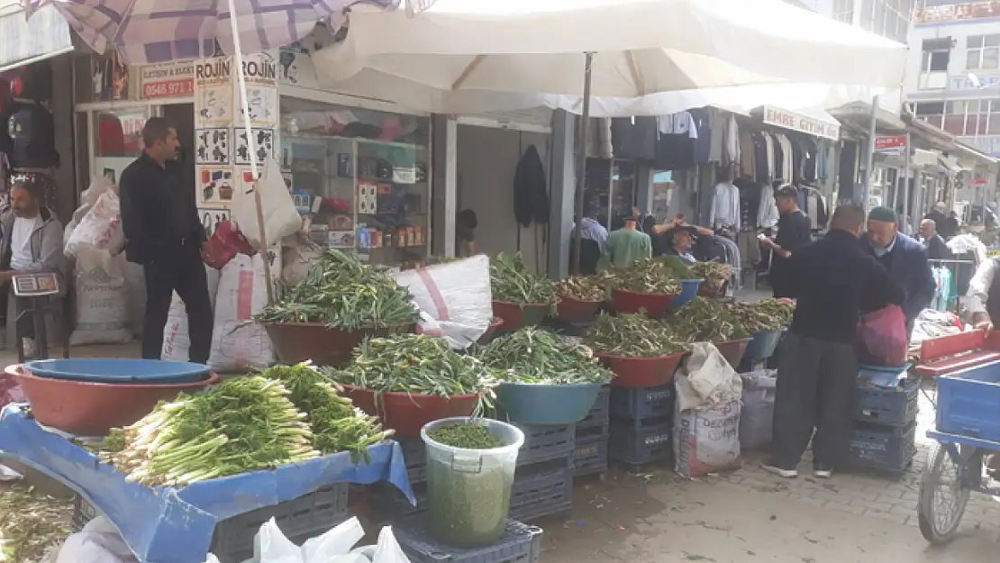 Van ve çevre illerde yetişen bitkilere yoğun ilgi