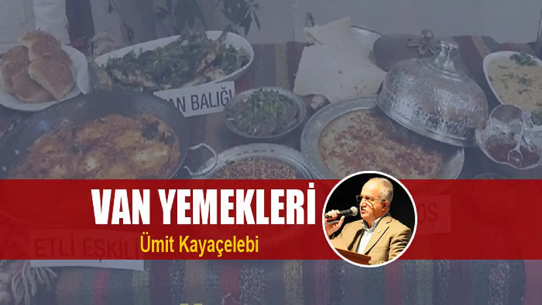 VAN YEMEKLERİ