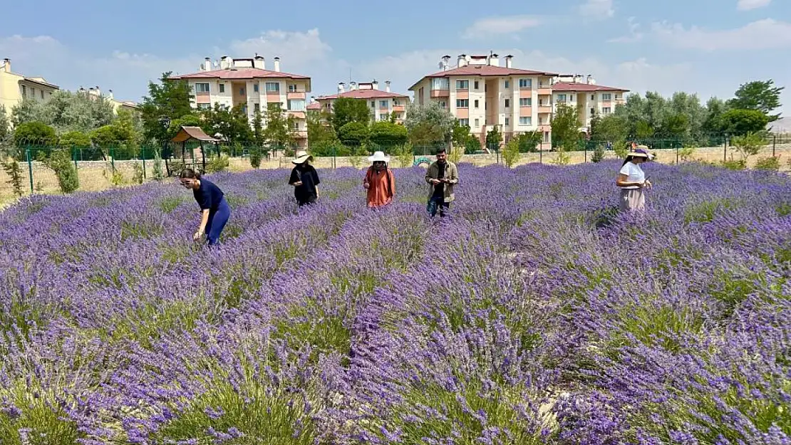 Van YYÜ'de 10 yılda 300 tür bitki yetiştirildi