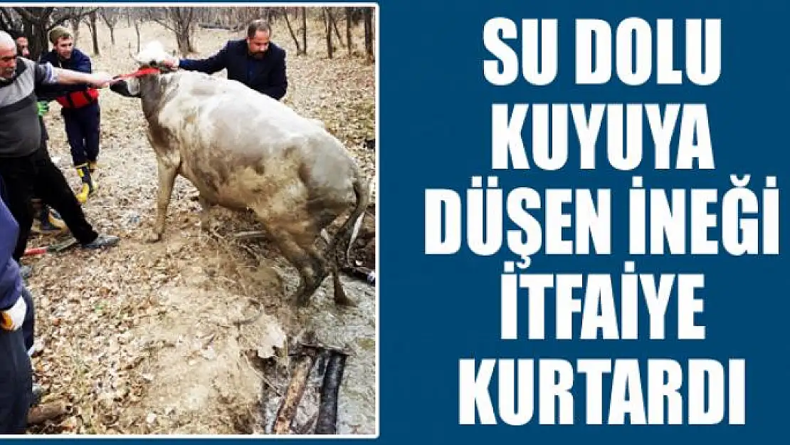 Su dolu kuyuya düşen ineği itfaiye kurtardı