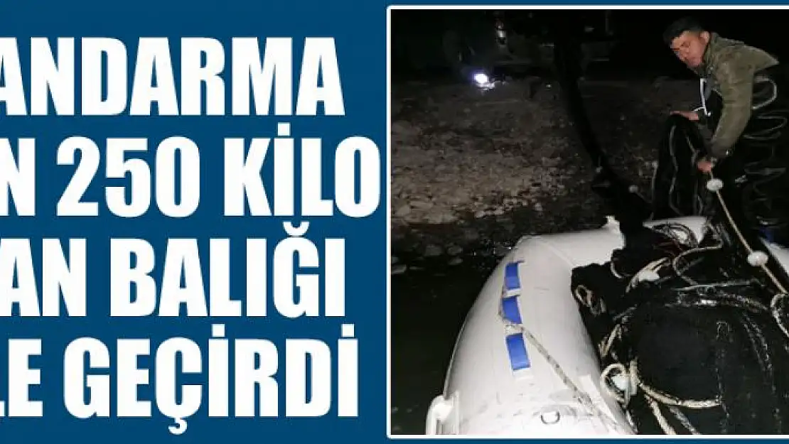 Jandarma bin 250 kilo Van Balığı ele geçirdi 