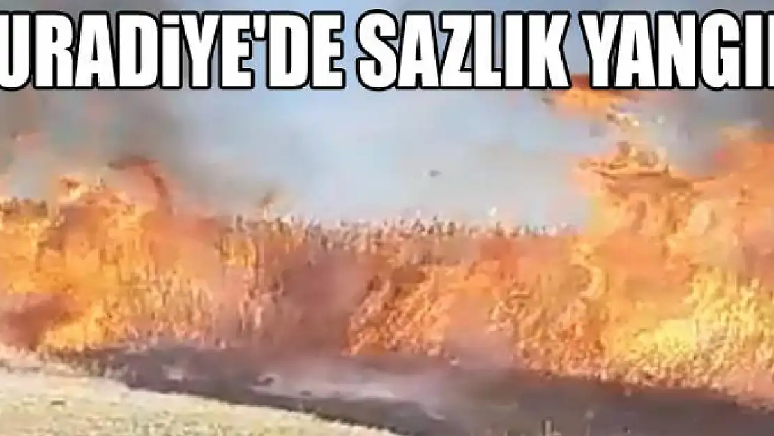 Muradiye'de sazlık yangını