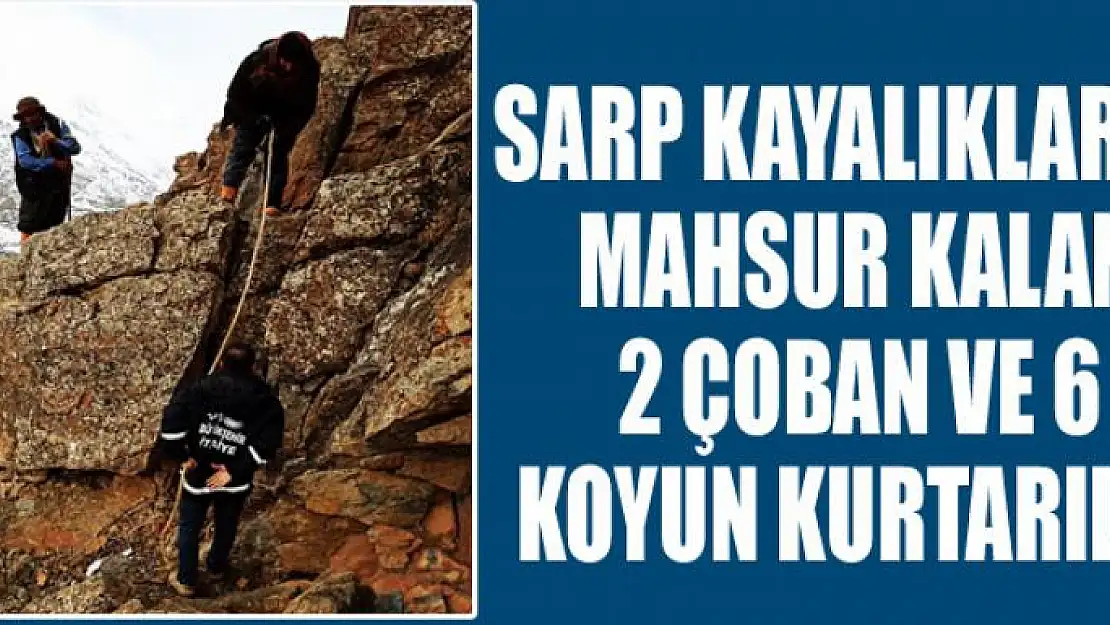 Sarp kayalıklarda mahsur kalan 2 çoban ve 6 koyun kurtarıldı