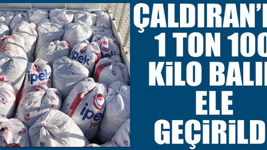 Çaldıran'da 1 ton 100 kilo balık ele geçirildi