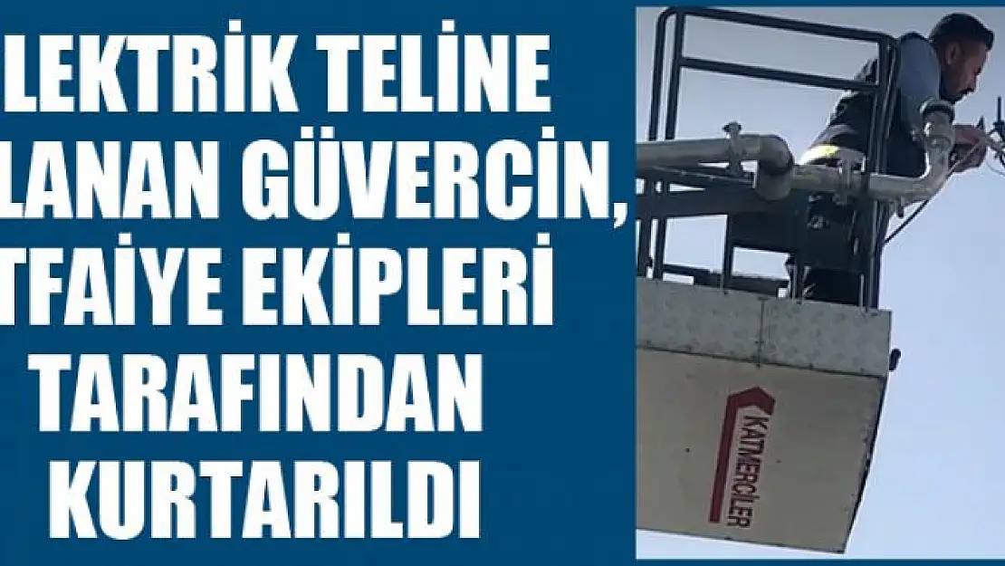 Elektrik teline dolanan güvercin, itfaiye ekipleri tarafından kurtarıldı